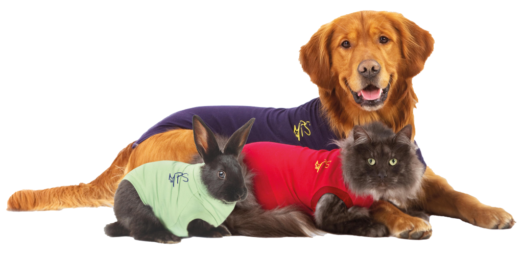 Medical pet outlet shirt cat