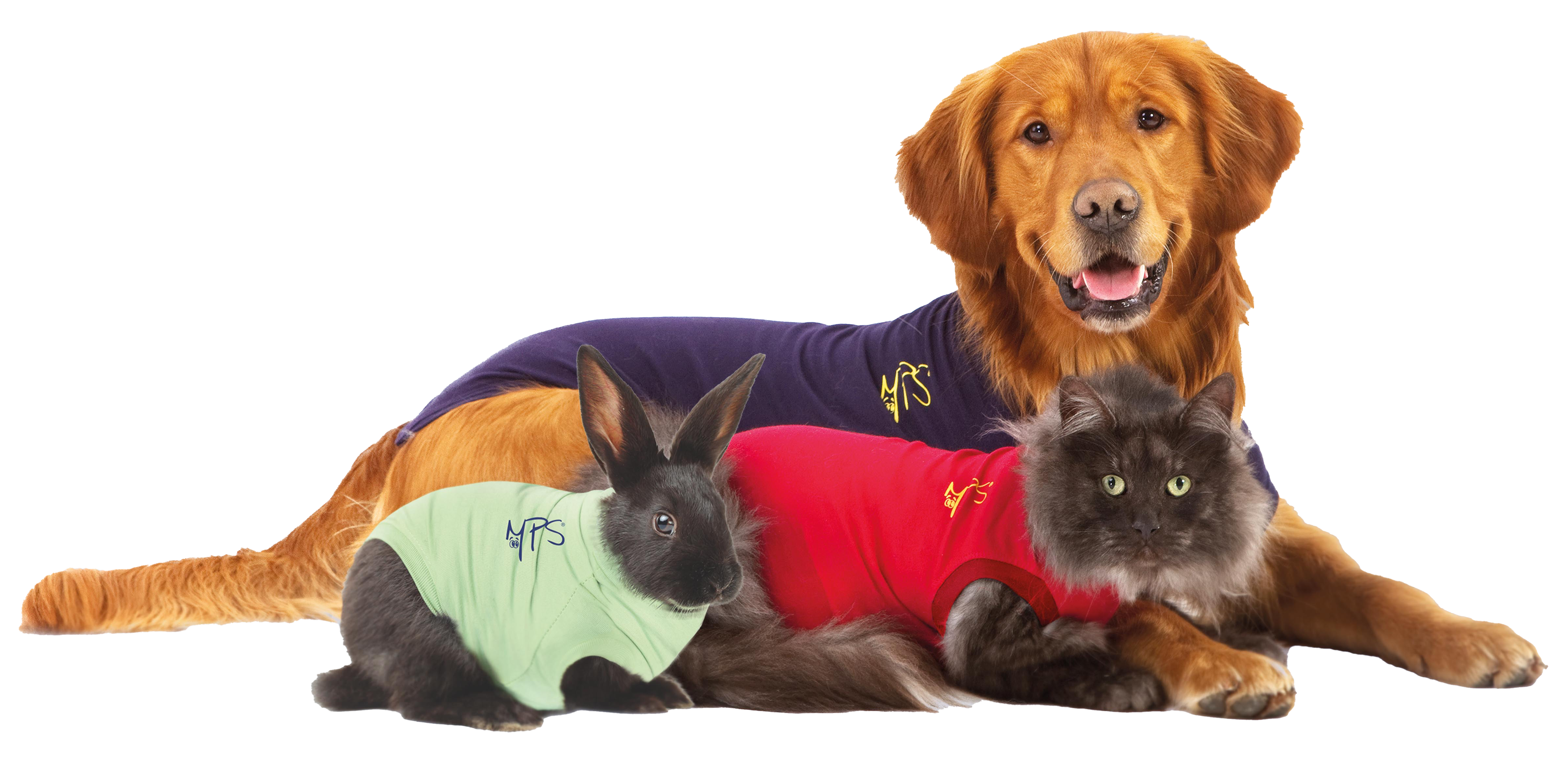 MPS-MEDICAL PETS BOOT® DOG - Medical Pet Shirts