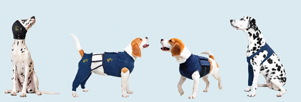 Dogs with vest