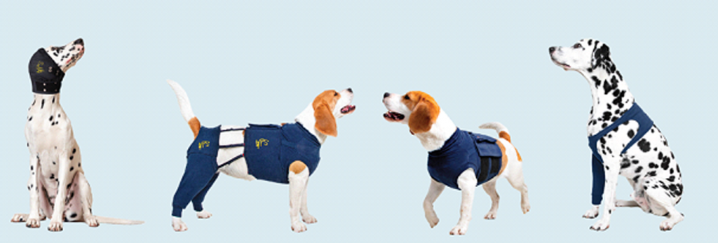 Medical pet shirts hot sale canada