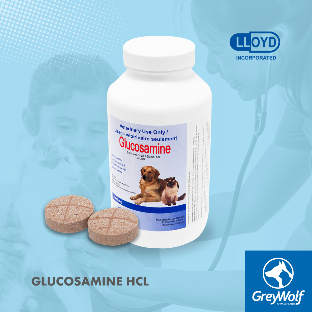 Glucosamine from Grey Wolf Animal Health