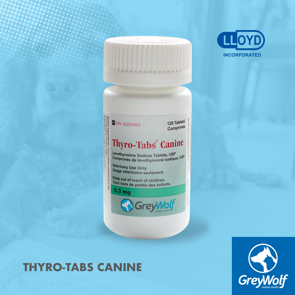 Thyro Tabs from Grey Wolf Animal Health