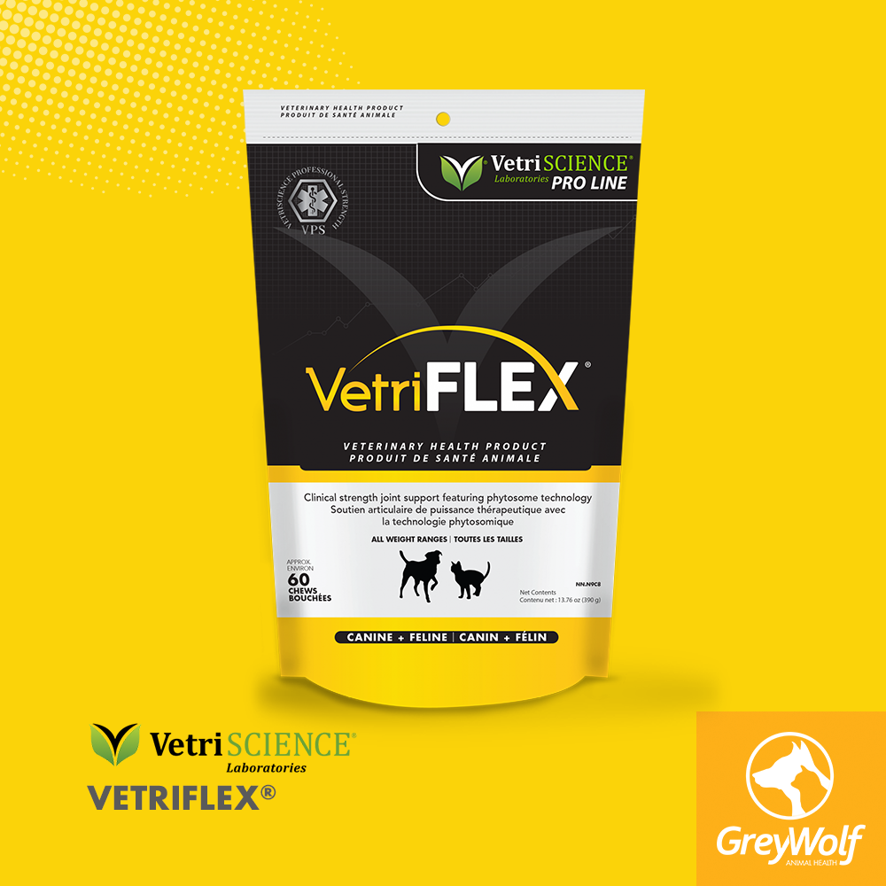 Vetriflex joint support supplement for cats and dogs