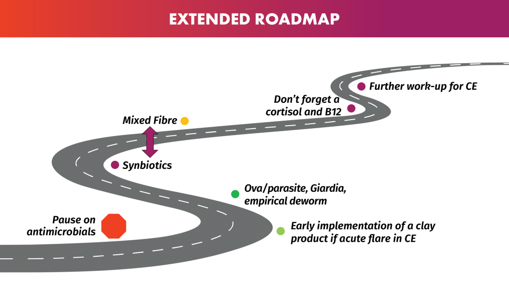 Extended roadmap