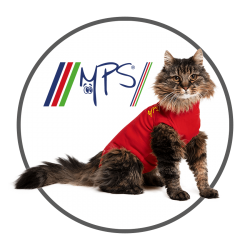 icon-mps-cat